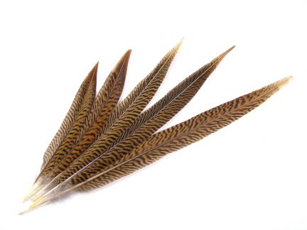 Natural Golden Pheasant Feathers