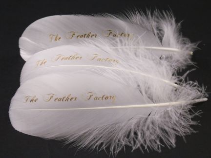 Personalised Feathers and Pens