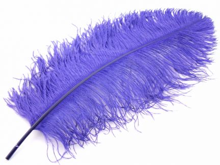 Ostrich Feathers