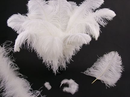 Wedding Feathers