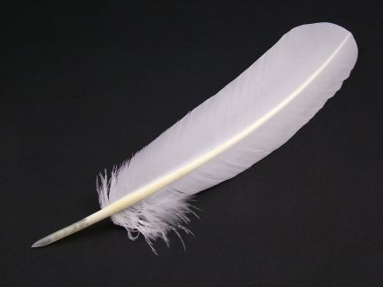 Traditional Hand Cut Quill Pens
