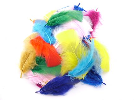 Craft Feather Packs