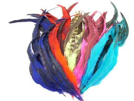 Cockerel Feathers