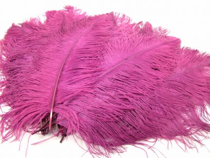 Bargain Ostrich Feathers
