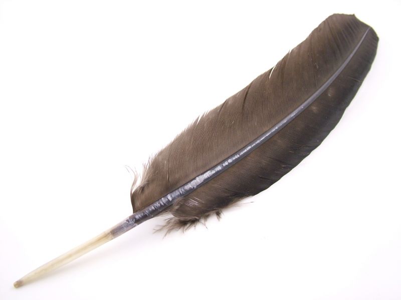 Rare Breed Turkey Hand Cut Quill Pen