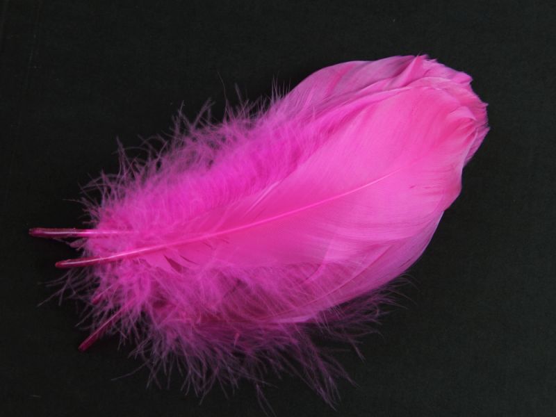 Goose Nagoire Feather Fringe - Dressmaking and Costume Accessories