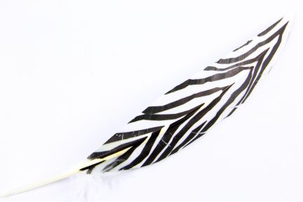 Silver Pheasant Pattern