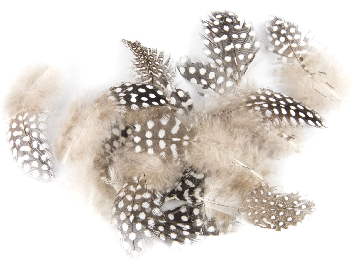 Guinea Fowl Feathers - Natural Craft Feather Packs