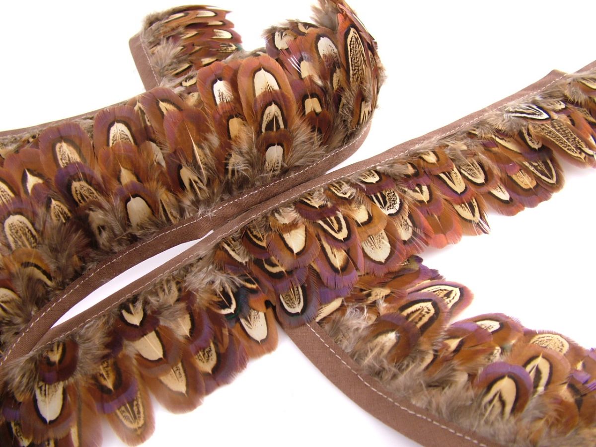 Pheasant Feather Fringe Church Window Pattern Costume & Carnival