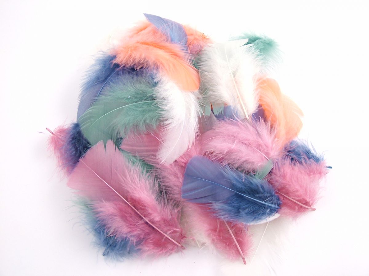 Large Rainbow Craft Feathers The Party Inventory