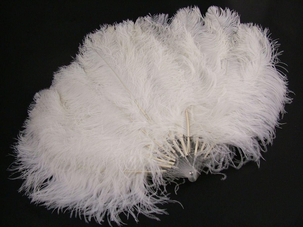 Ostrich Feather Fans Dyed Costume Feathers