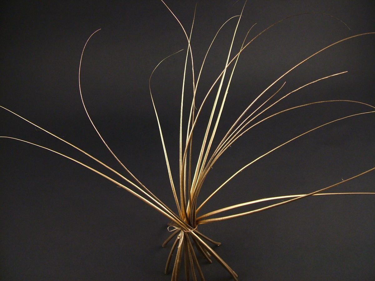 Gold Ostrich quills ideal for hats and 