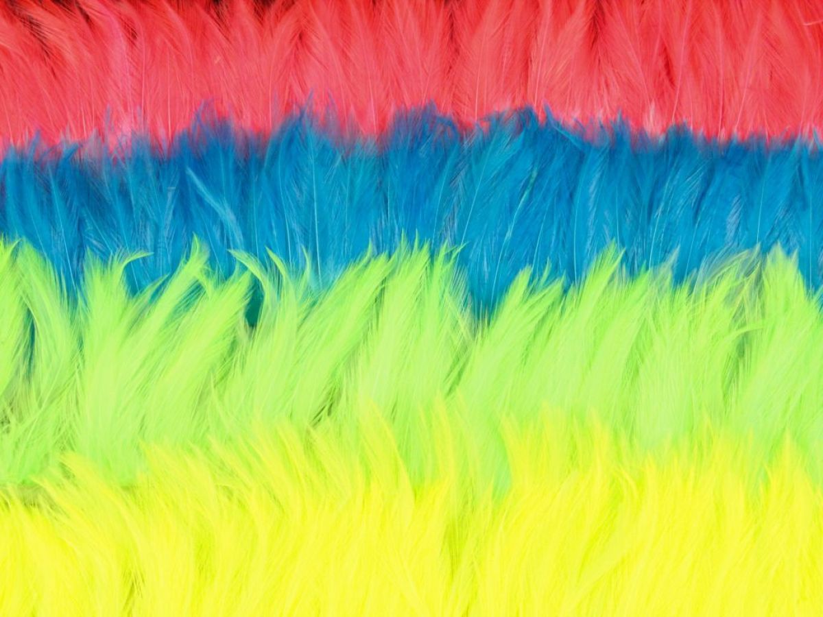 Hackle Feather Mount Scarlet Red