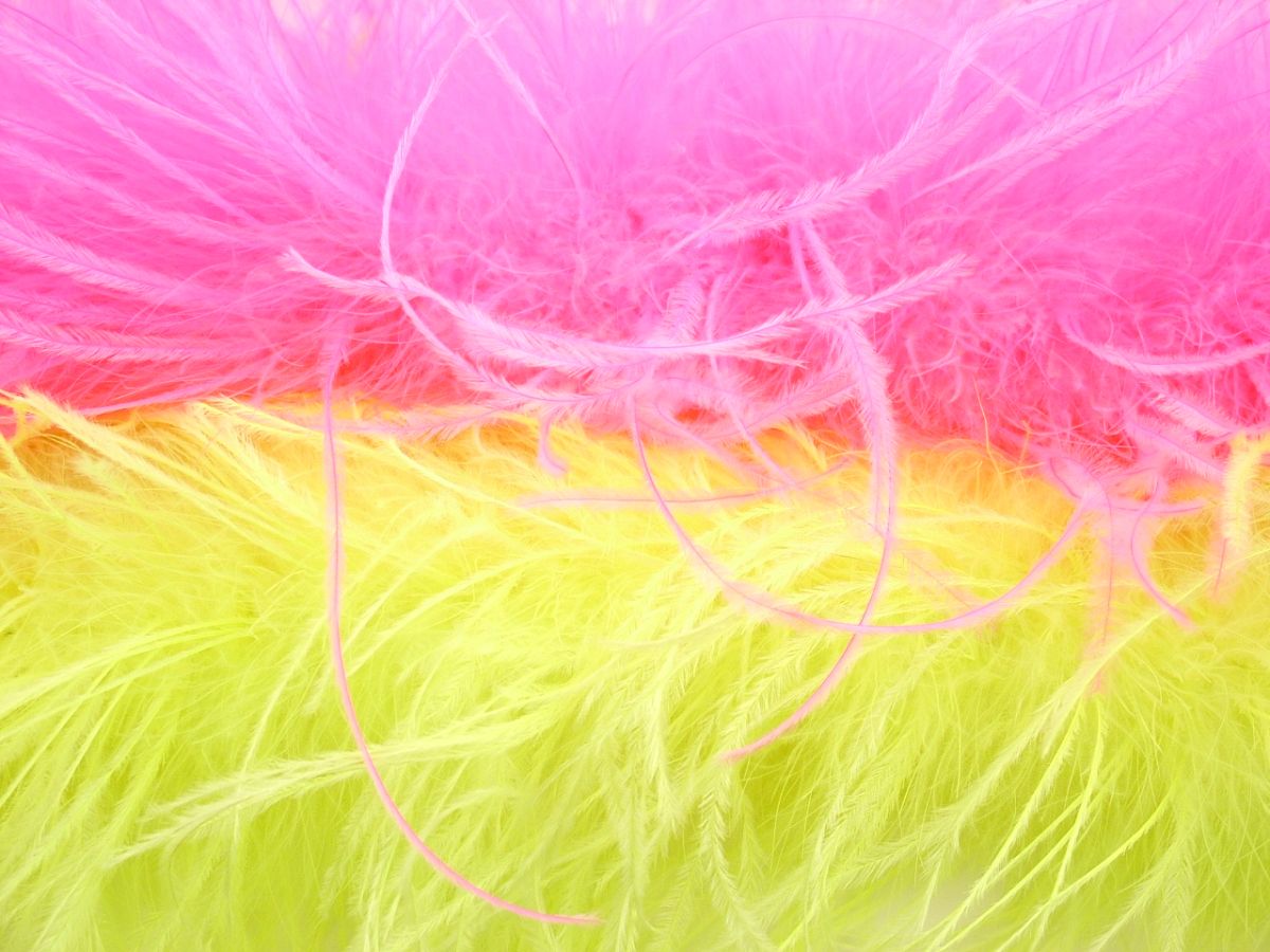 Feather Boa for Dancewear Wide range of Boa Feather Colours