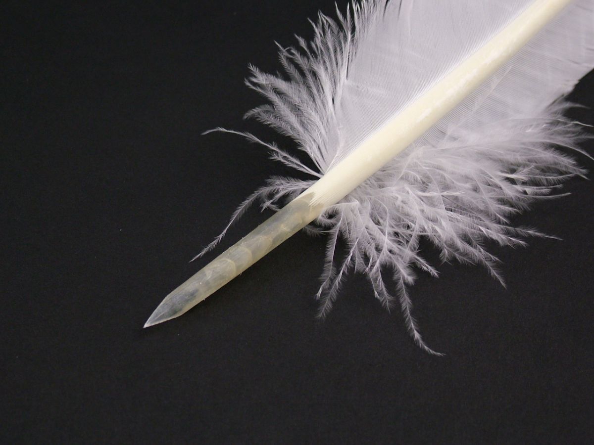 Feather Pens Traditional Hand Cut Quill