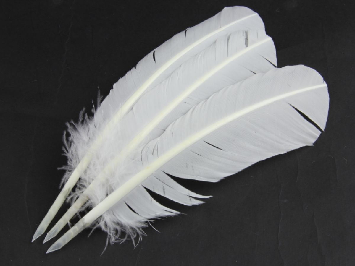 Feather Pens Traditional Hand Cut Quill