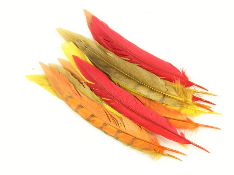 Special Offer Fire (Pack of 12) 1