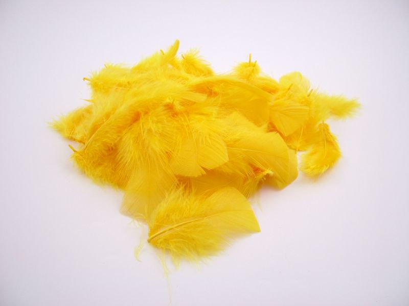 Turkey Coquille Craft Feathers (20g Pack) 2