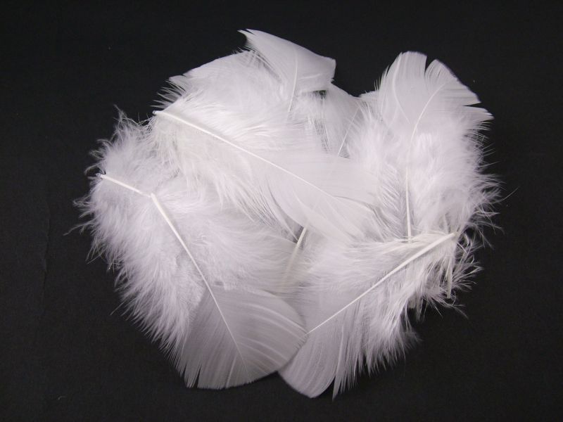 Turkey Coquille Craft Feathers (20g Pack) 4