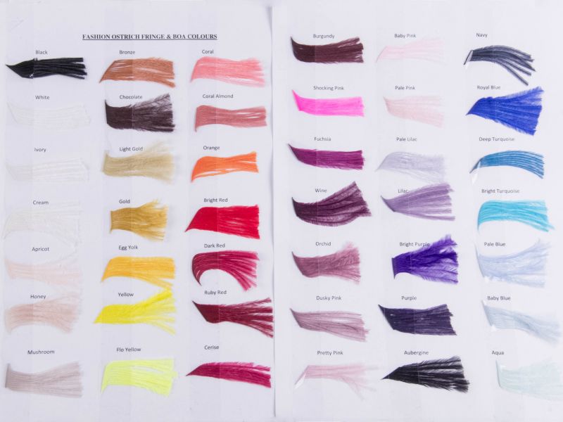 Fashion Ostrich Colour Chart 1