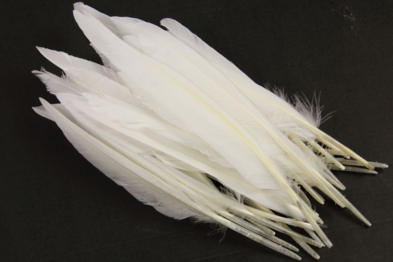 Special Offer White Duck Quill (100g) 1