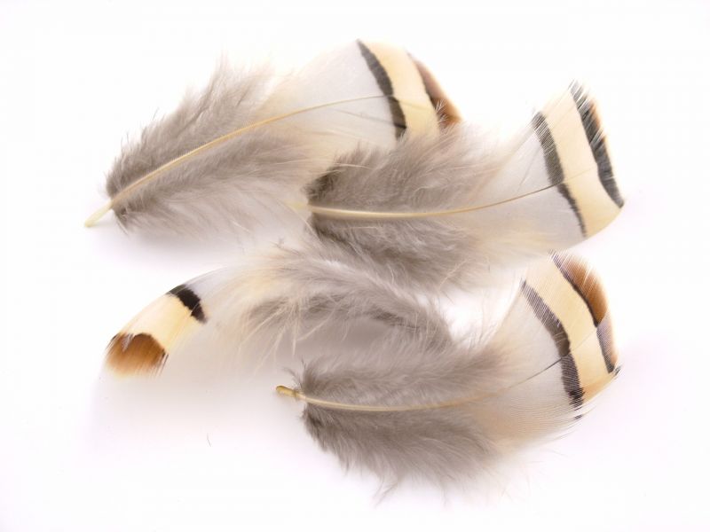 French Partridge Plumage (10g Pack) 3