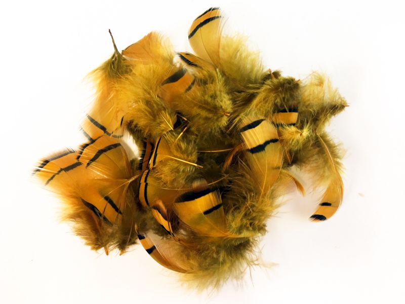 Dyed Partridge Plumage (10g Pack) 1