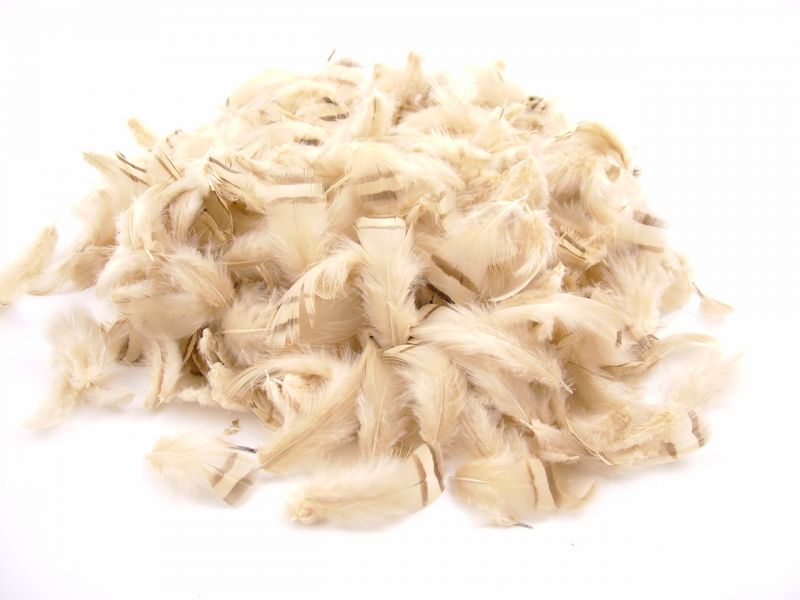 Dyed Partridge Plumage (10g Pack) 2