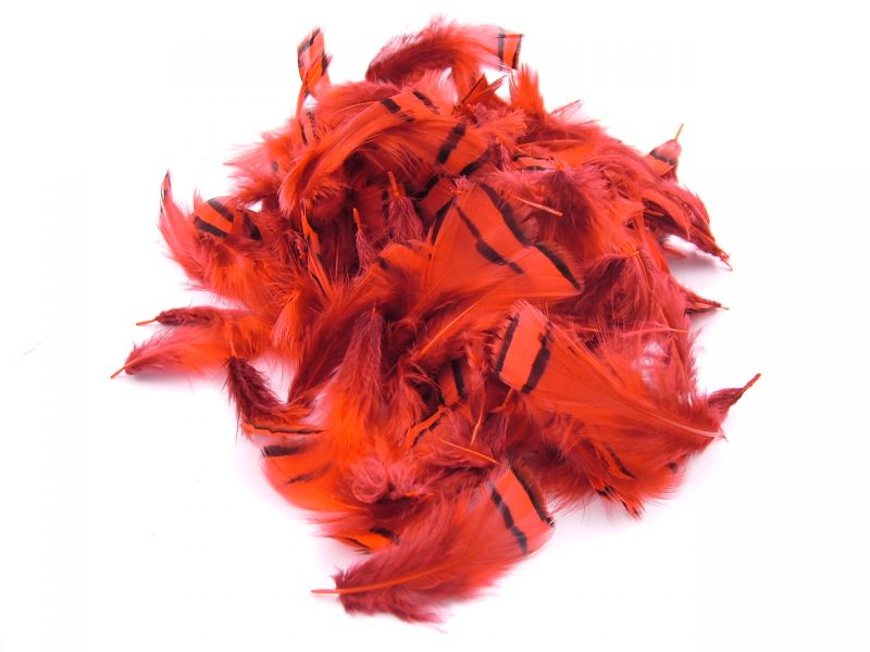 Dyed Partridge Plumage (10g Pack) 3
