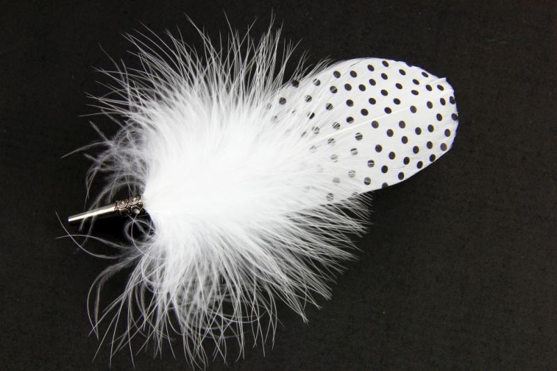 Polka Dot Feather Brooch  2