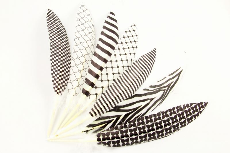 Patterned Feathers 1