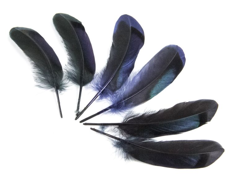 Dyed Mallard Duck Feathers (Pack of 10) 1