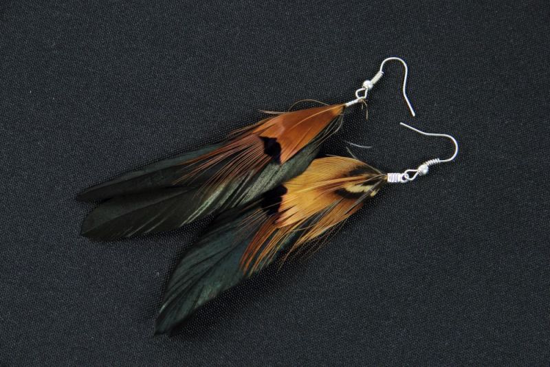 Bronze Boho Feather Earrings 1