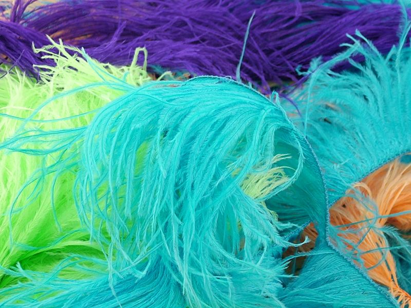 Ostrich Feather Fringe Dyed Feather Carnival & Costume Fringes