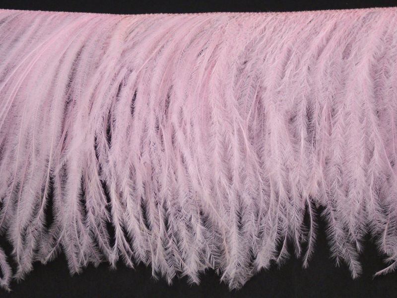 Dancewear Ostrich Feather Fringe (2 Ply on a Cord) 2