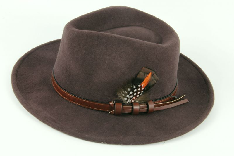 Fedora Hat with Feather mount 1