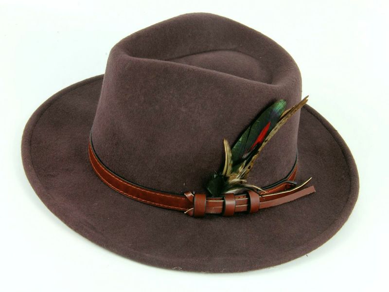 Fedora Hat with Feather mount 2