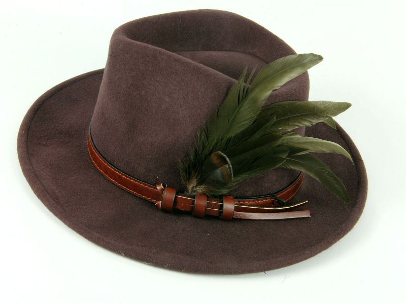 Fedora Hat with Feather mount 3