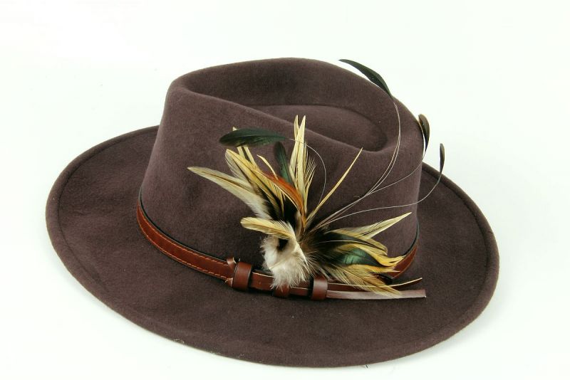 Fedora Hat with Feather mount 4