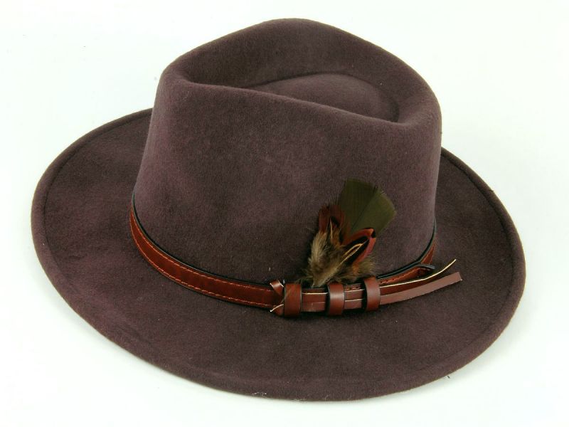 Fedora Hat with Feather mount 5