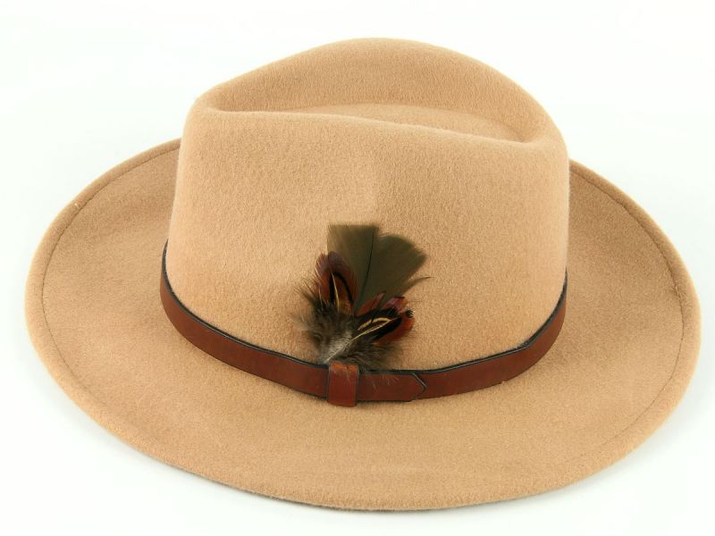 Nude Fedora Hat with Feather Mount 5