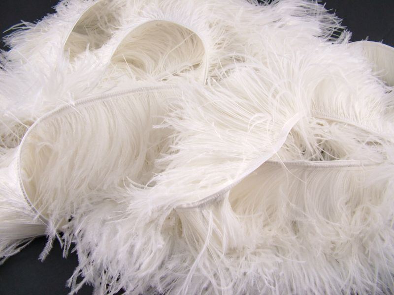 Fashion Ostrich Feather Fringe (4 Ply on a Cotton Bias) 4