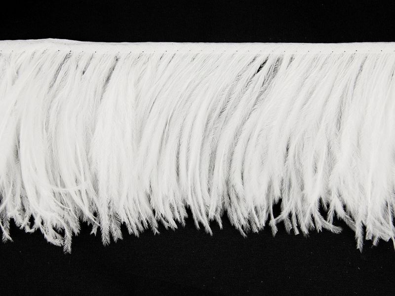 Delicate Ostrich Feather Fringe 1