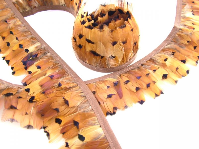 Pheasant Gold Side Feather Fringe 1