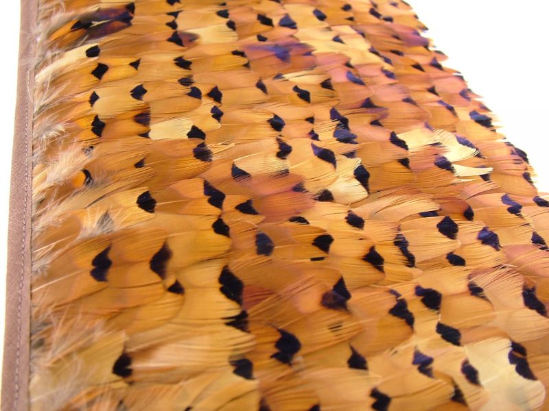 Pheasant Gold Side Feather Fringe 2