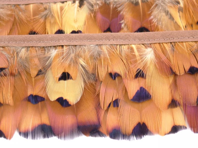 Pheasant Gold Side Feather Fringe 5