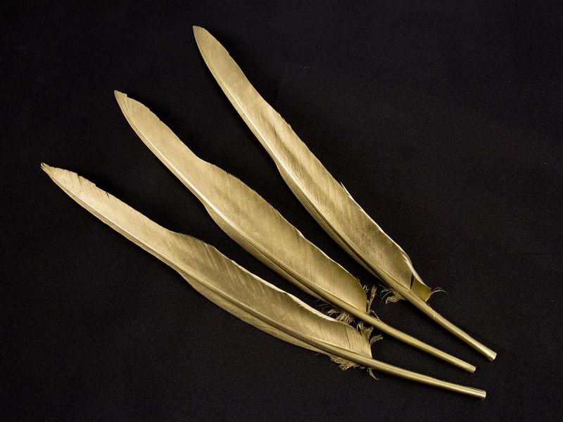 Golden Goose Quill