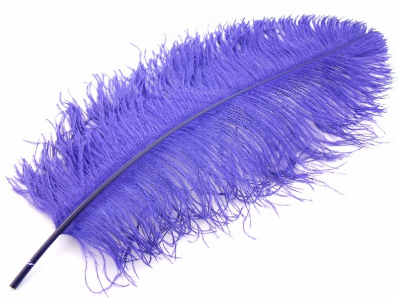 Ostrich Premium Wing Feather (50-65cm) 1
