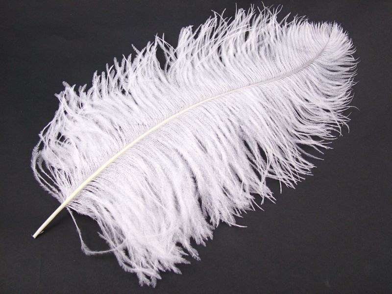 Ostrich Premium Wing Feather (50-65cm) 3