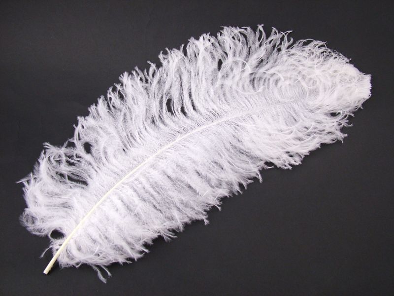 Super Prime Male Ostrich Feather (60-75cm) 1